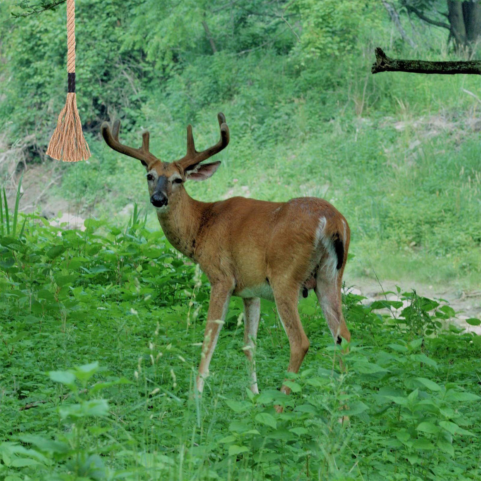 Deer Attractant Scent - Raspar de ciervo, atractivo eficaz de