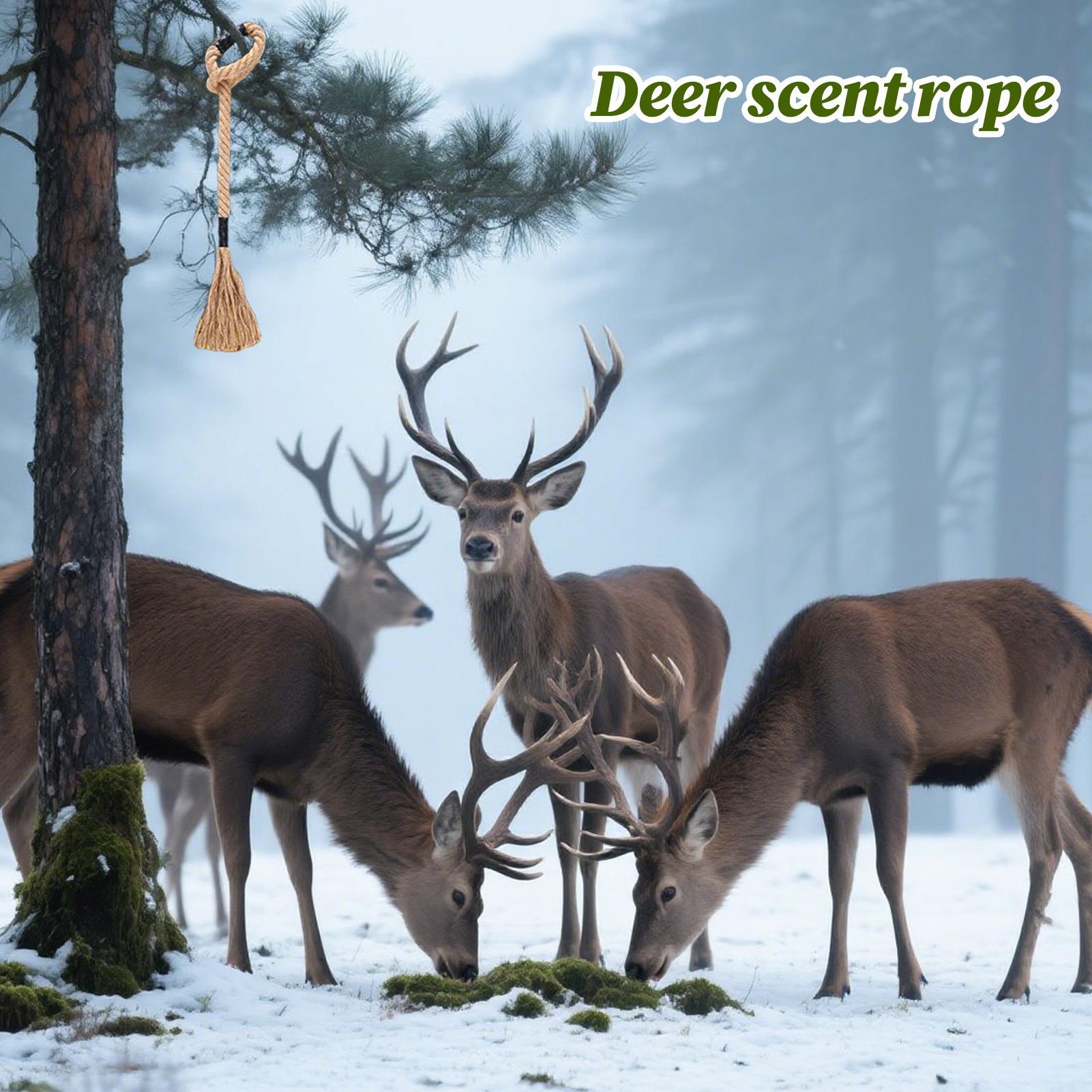 Cuerda aromática de ciervo, at - Deer Attractant Scent reseña y precio