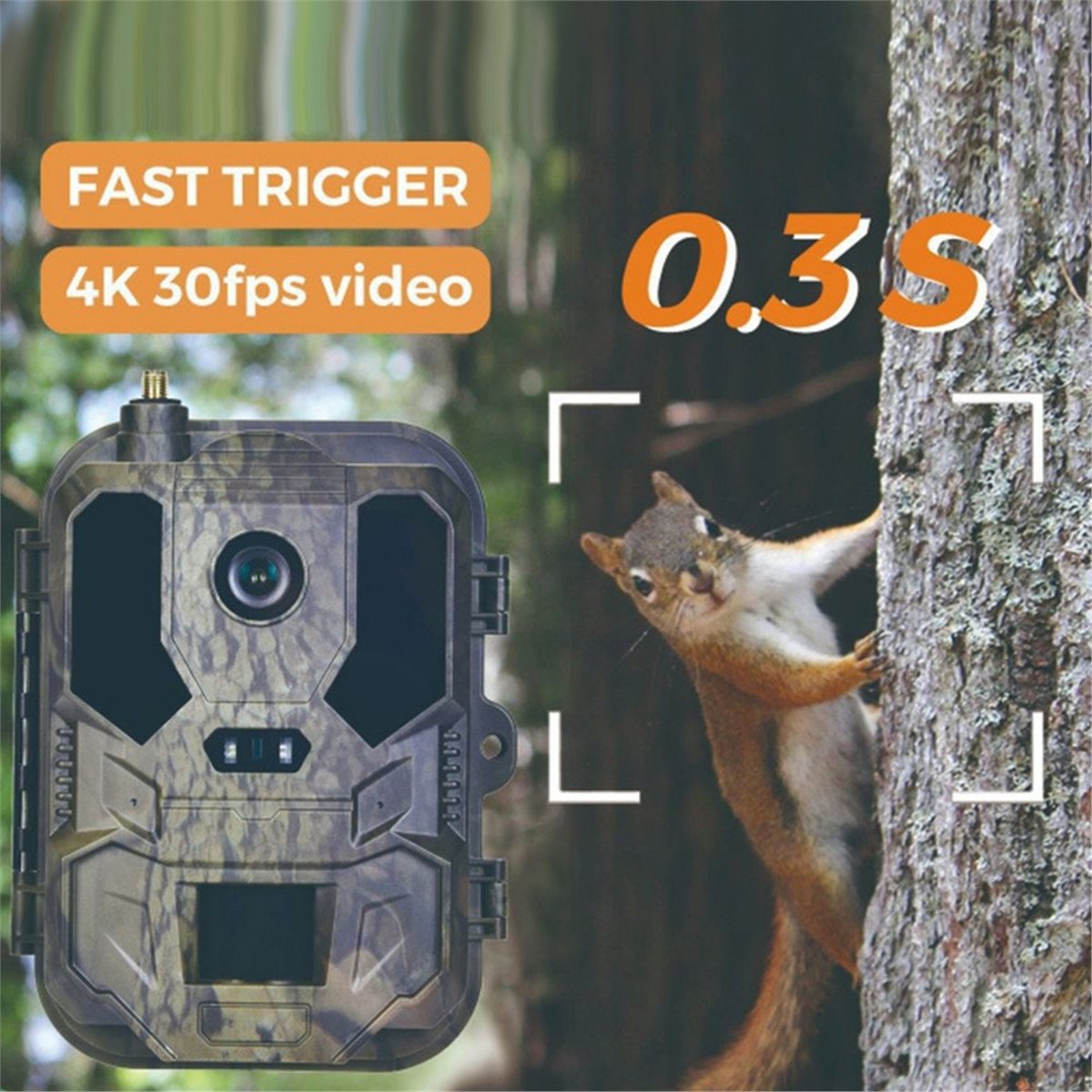 actualización. Cámara de Caza  - Hunting And Outdoor Shows reseña y precio